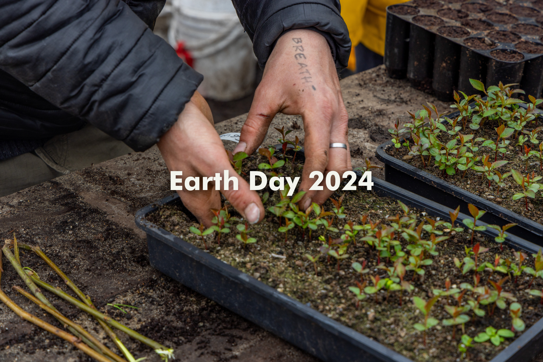 Earth Day 2024 | Celebrating Hometree & EZ Living Interiors Partnership
