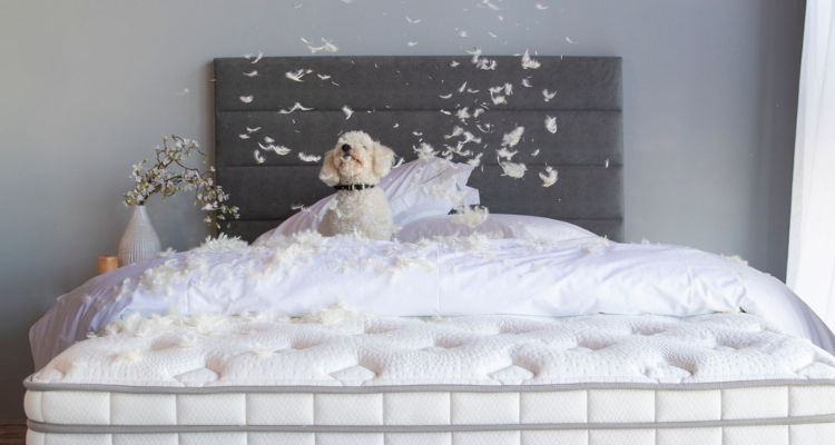 How To Choose Your Perfect Mattress | Buying Guide 